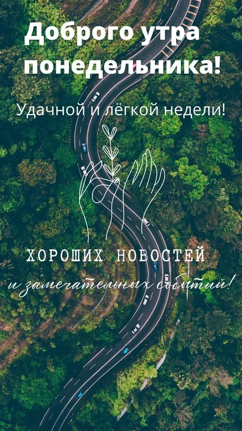 понедельник.webp