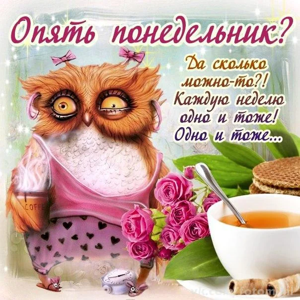 понедельник.webp