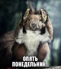 понедельник2.webp