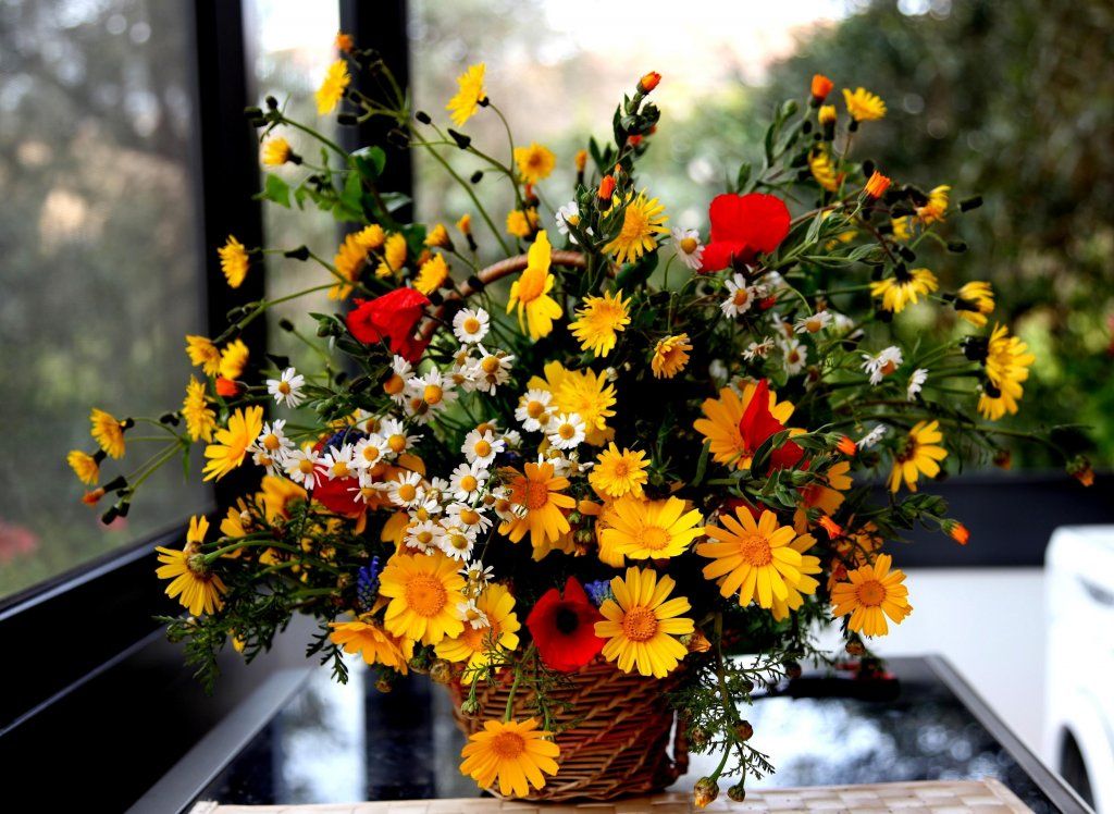 poppies_daisies_flowers_basket_bouquet_43520_3600x2630.jpg