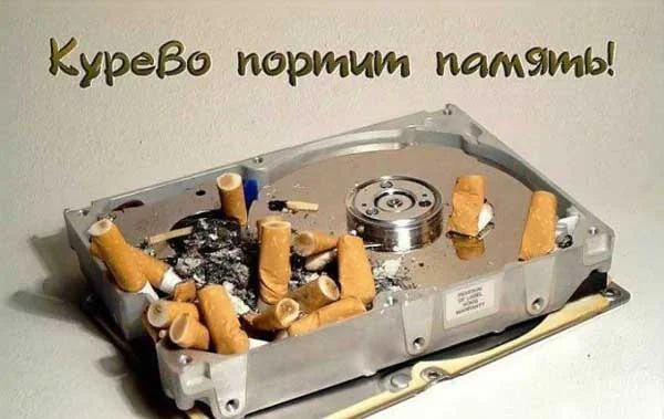 портит память.webp