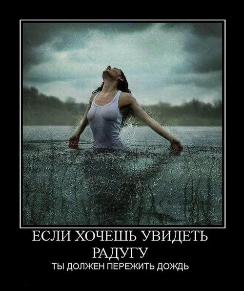 после дождя 2.webp