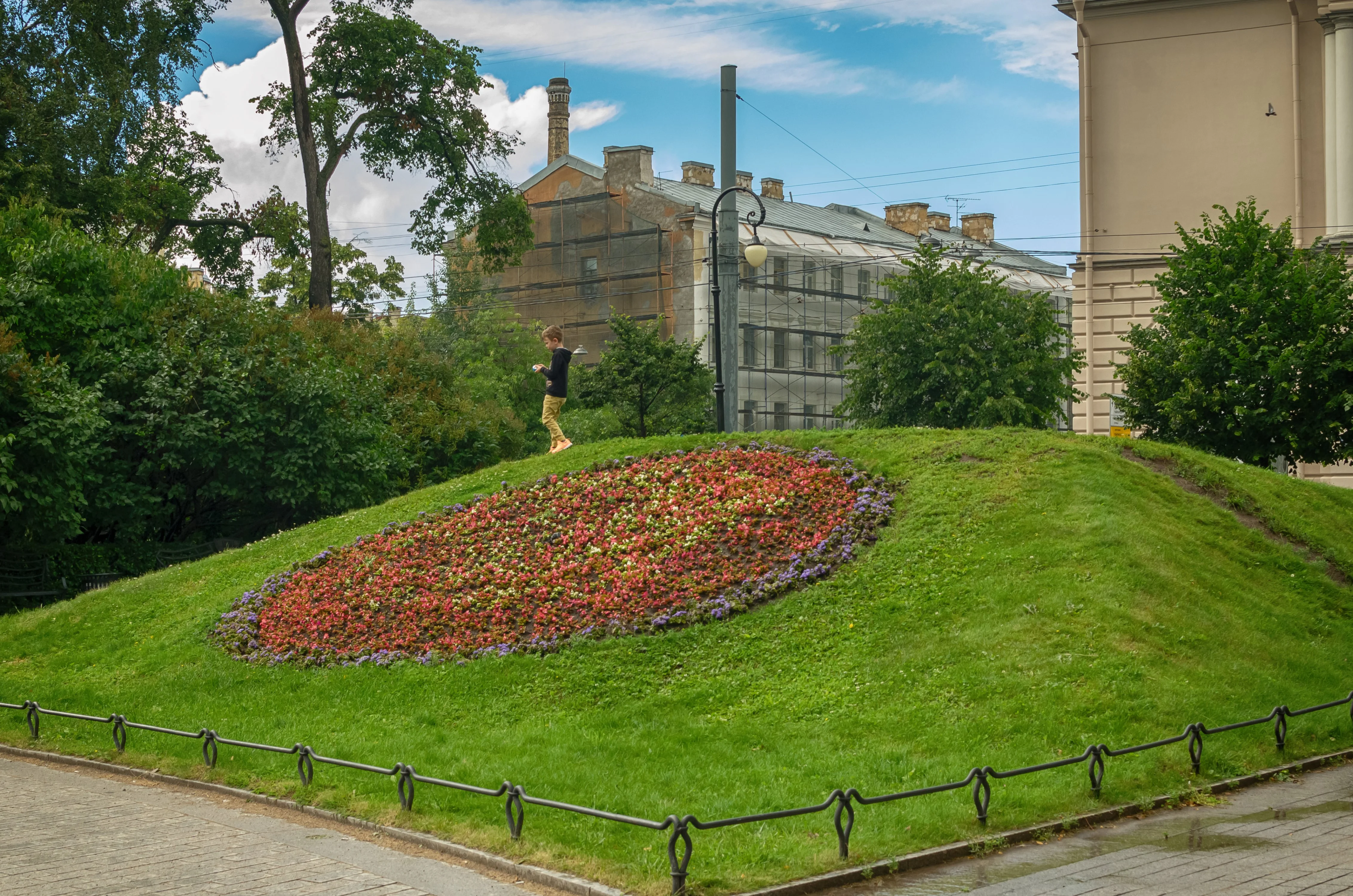 после дождя.webp