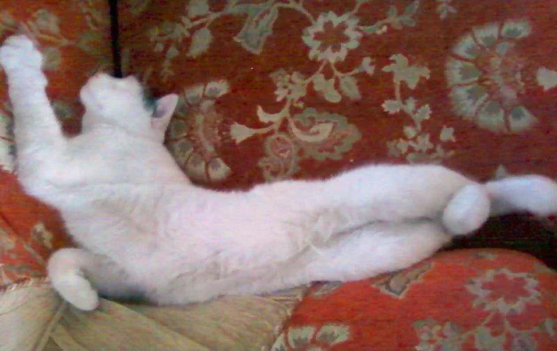 после   гулянки-3.webp