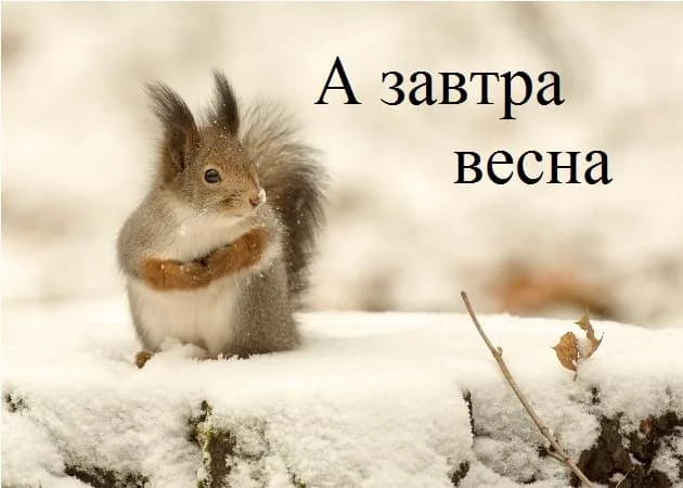 poslednij-den-zimy-kartinki-prikolnye_4.webp