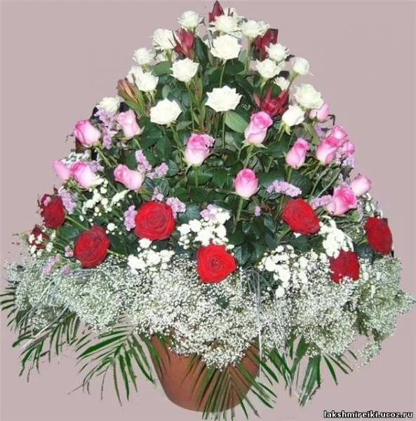 post-12050-1252582080_thumb.webp
