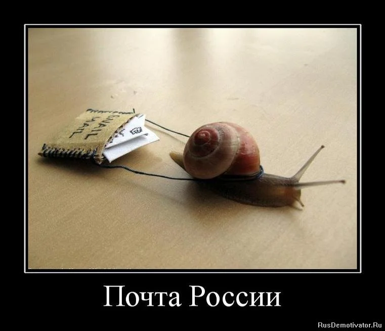post-148096-1323497822.webp