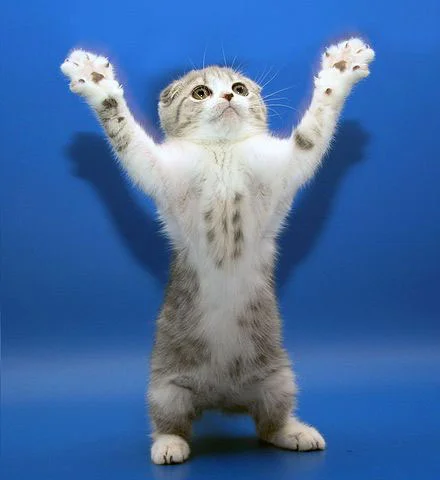 post-3-13074047493860 (1).webp