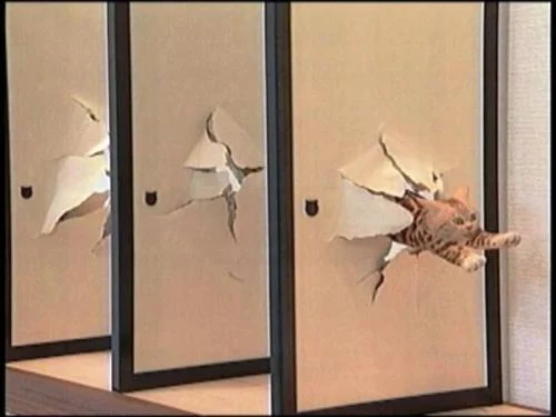 post-64651-091965800 1357058853.webp