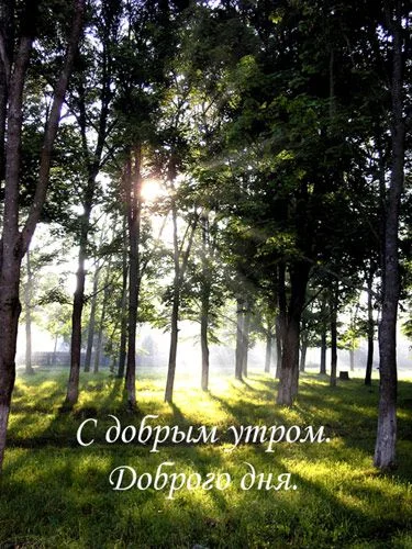 post886164_img1_de447d232cbb4ea1d88cb492dc922279.webp