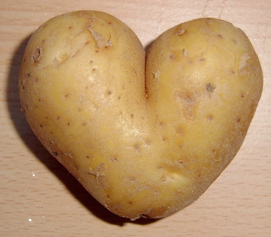 Potato_heart_mutation1.webp