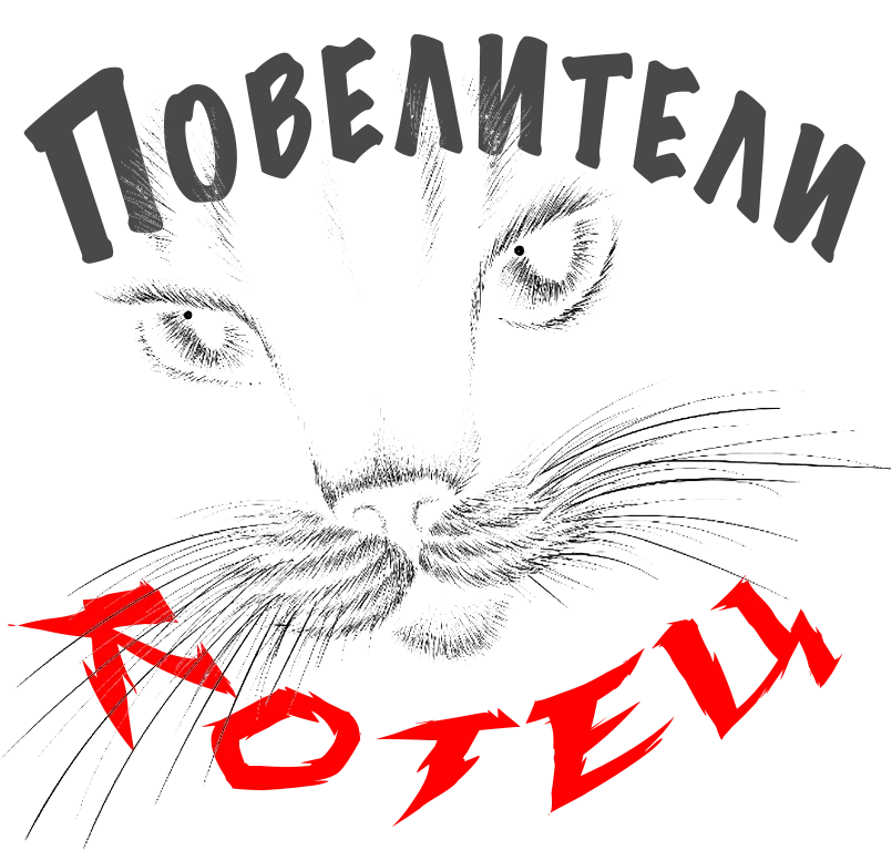 Повелители КОТЕЦ.webp