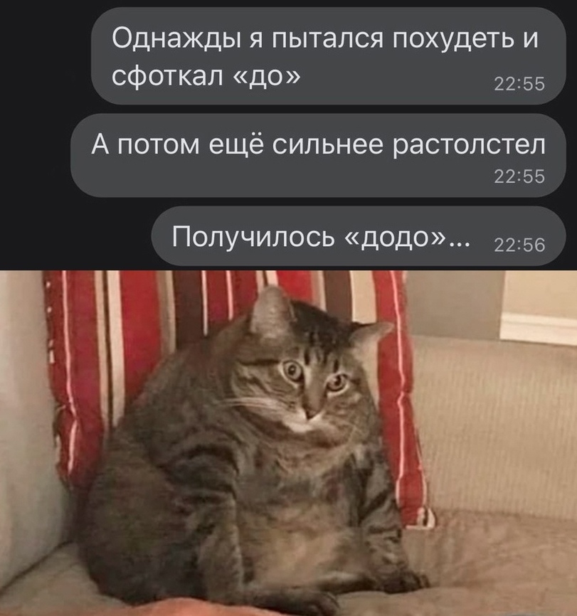 похудение-старания-почти-успех-песочница-6975788.jpeg