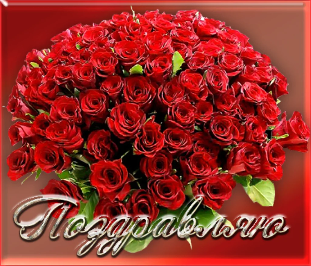 poz002.webp
