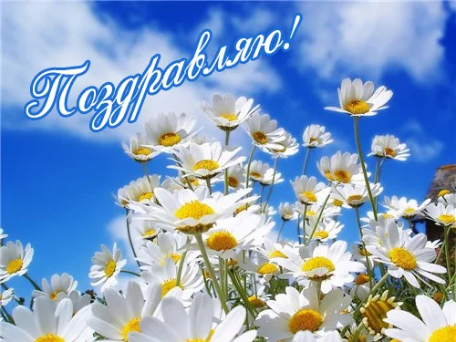 pozdravlau_06.webp