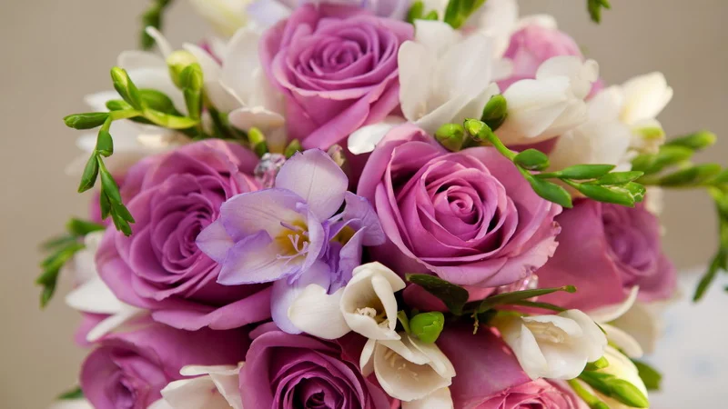 поздравление 01.webp