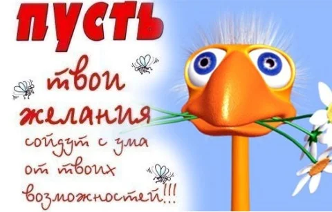 pozdravlenie.webp
