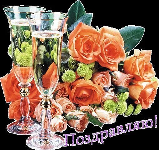 pozdravljaju1.webp