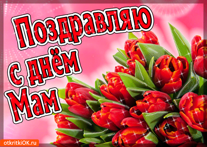 pozdravlyayu-s-dnem-mam-49245-3054287.gif