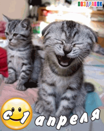 pozdravok-kartinka-na-1-aprelya.gif