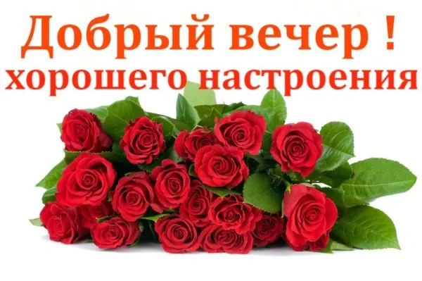 Пожелание-доброго-вечера.webp