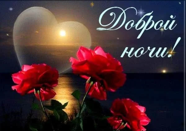 pozhelanie-dobroy-nochi.webp
