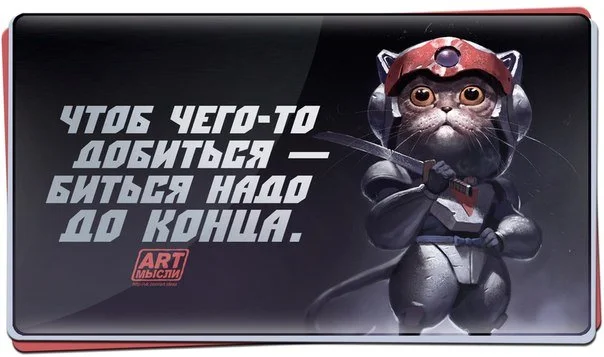 pozitiv_21.webp