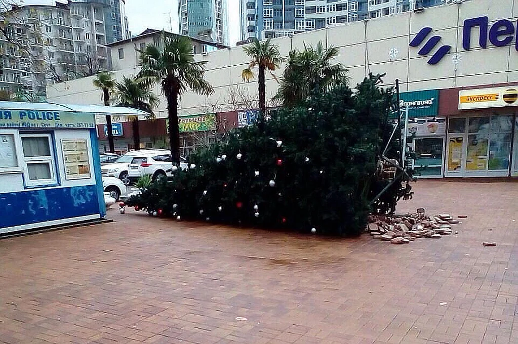 Праздник к нам приходит... На Светлане сдуло новогднюю елку..webp