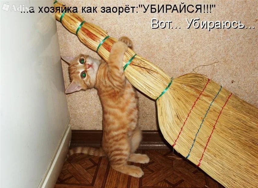 predostavlenie-kliningovyh-uslug.0.b (1).webp