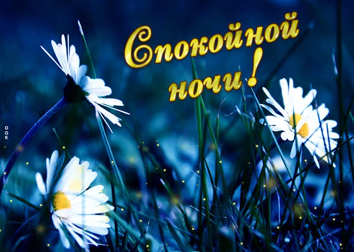 prekrasnaya-kartinka-spokoynoy-nochi-92534.webp