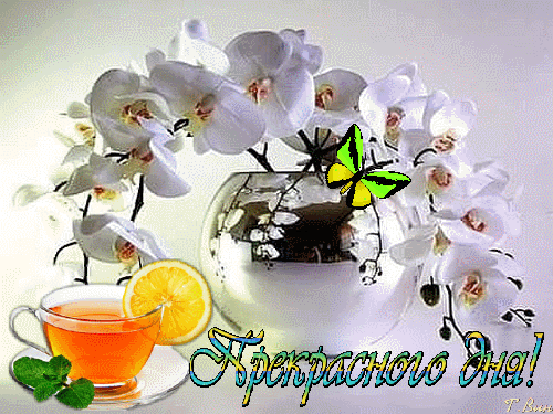 прекрасного дня.gif