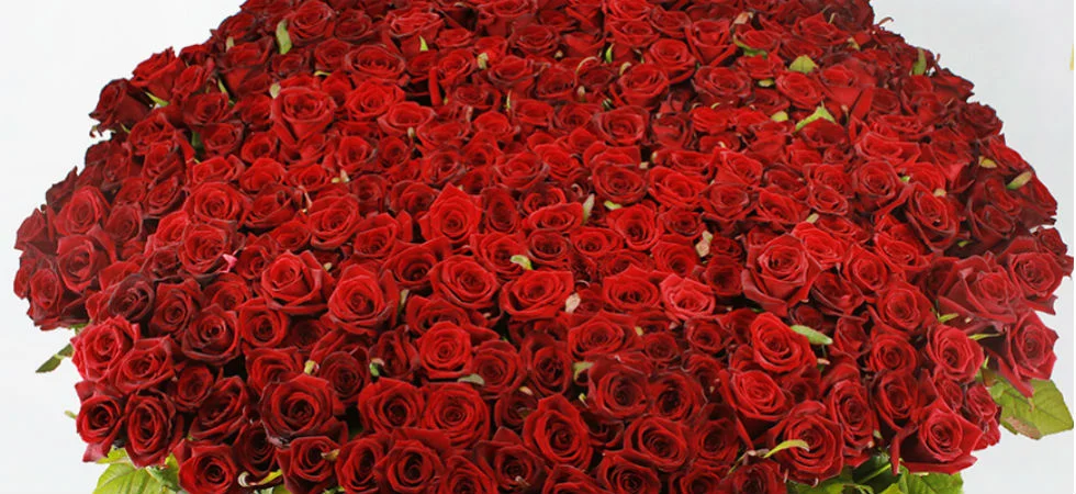 prestige-flowers-2500-valentines2.webp