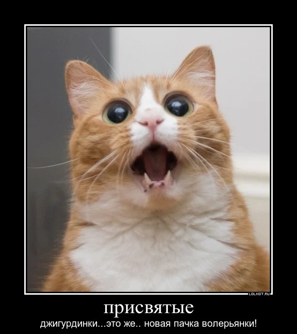 пресвятые джигурдинки.webp