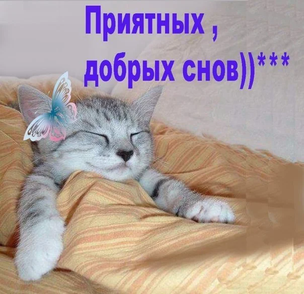 приятных снов.webp
