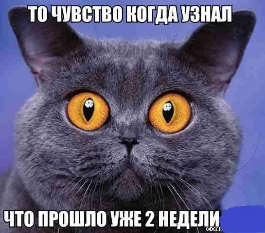 Прикол-Как-быстро-летит-время-102312.webp