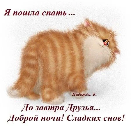 Прикольная-картинка-Я-пошла-спать-2.webp