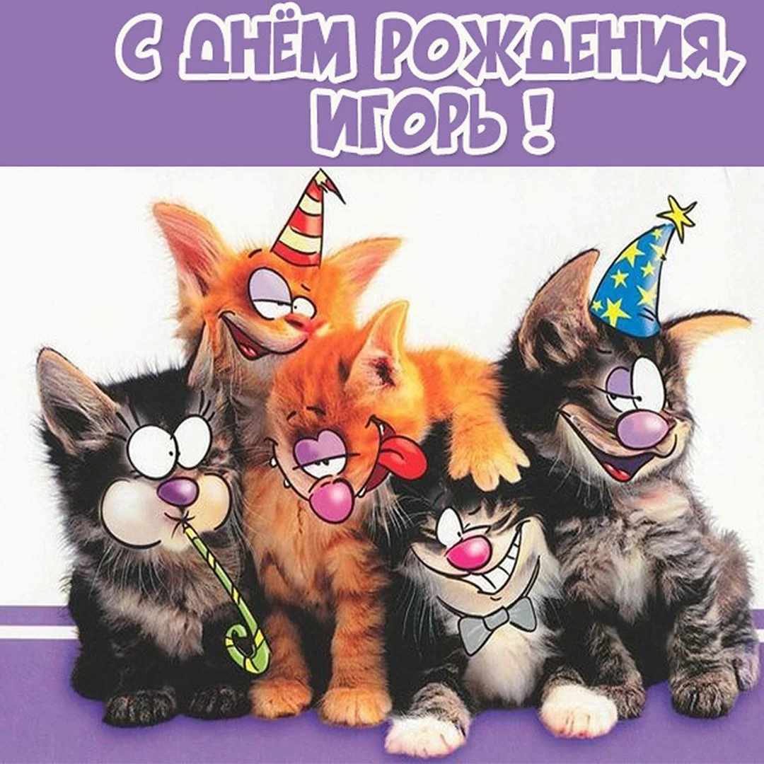 prikolnaya-kartinka-igor-s-dnem-rozhdeniya.webp