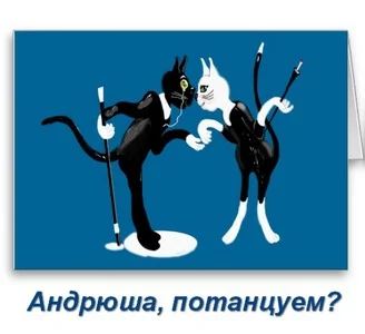 prikolnoe-pozdravlenie-andreiu.webp