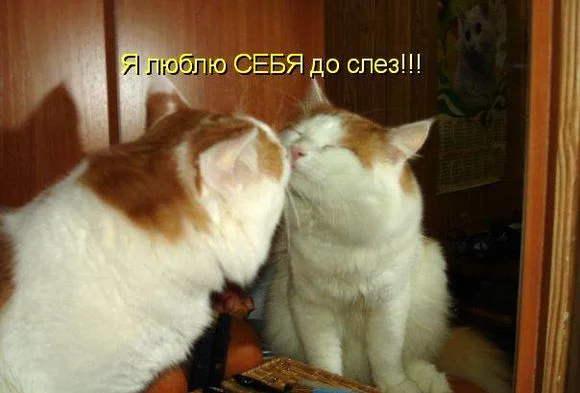 prikolnye-kartinki-o-lyubvi-so-slovami-9.webp