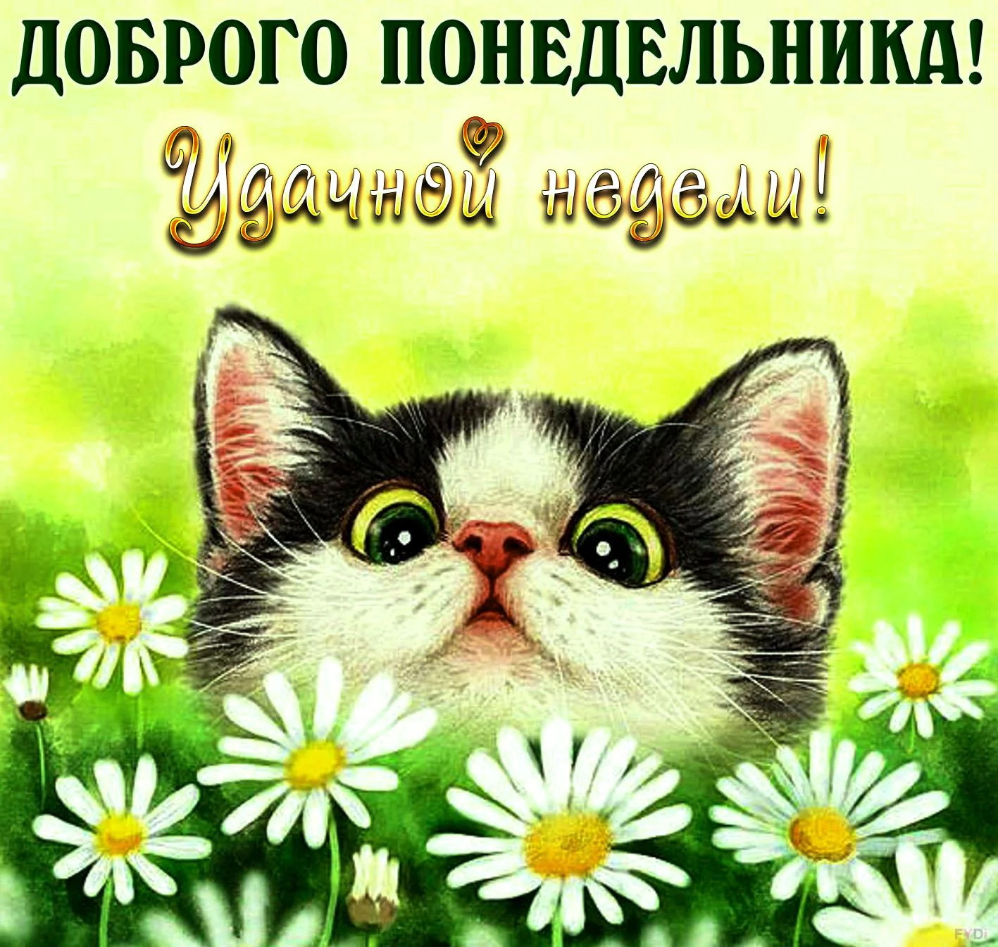 prikolnye-kartinki-ponedelnik-36.webp