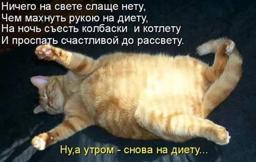 prikolnye-kartinki-pro-dietu-3.webp