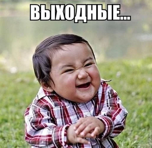 prikolnye-kartinki-pro-vyhodnye-1.webp