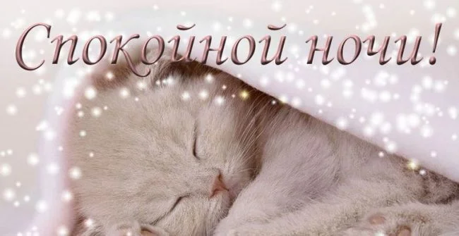 prikolnye-kartinki-spokojnoj-nochi-32-650x335.webp