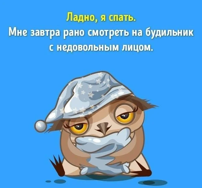 prikolnye-kartinki-spokoynoy-nochi-13.webp
