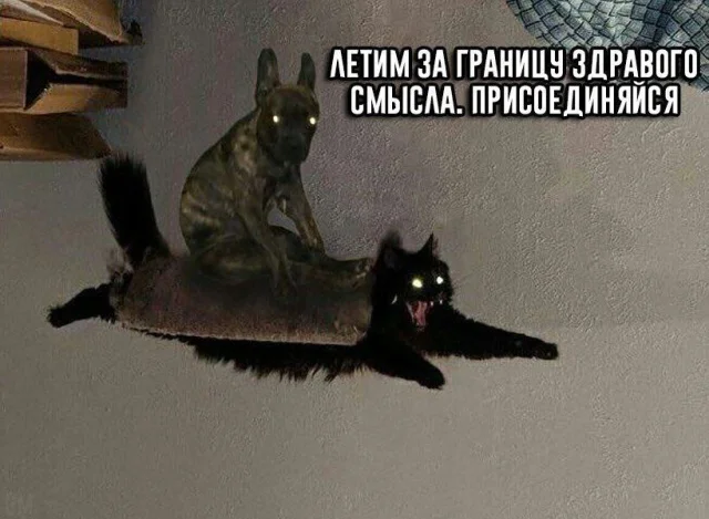 Прикольные картинки_ Выпуск 2866.webp