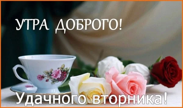 Прикольные-открытки-доброе-утро-вторник024.webp