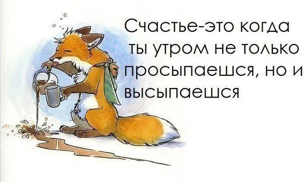 prikolnye_kartinki_dobroe_utro_13.webp
