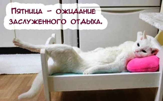 prikolnye_kartinki_s_pyatnicej_09.webp