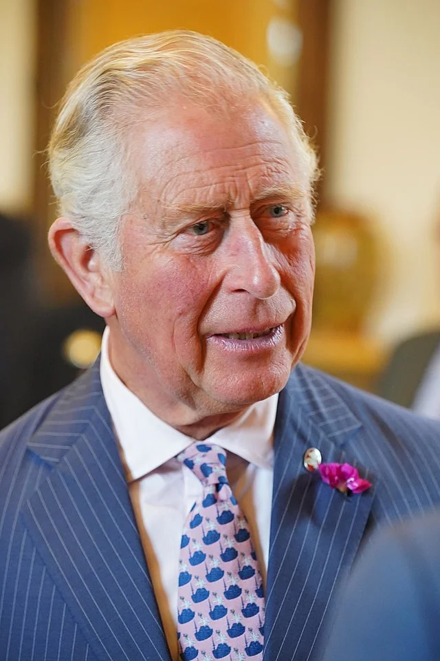 Prince_Charles_Ireland-4.webp