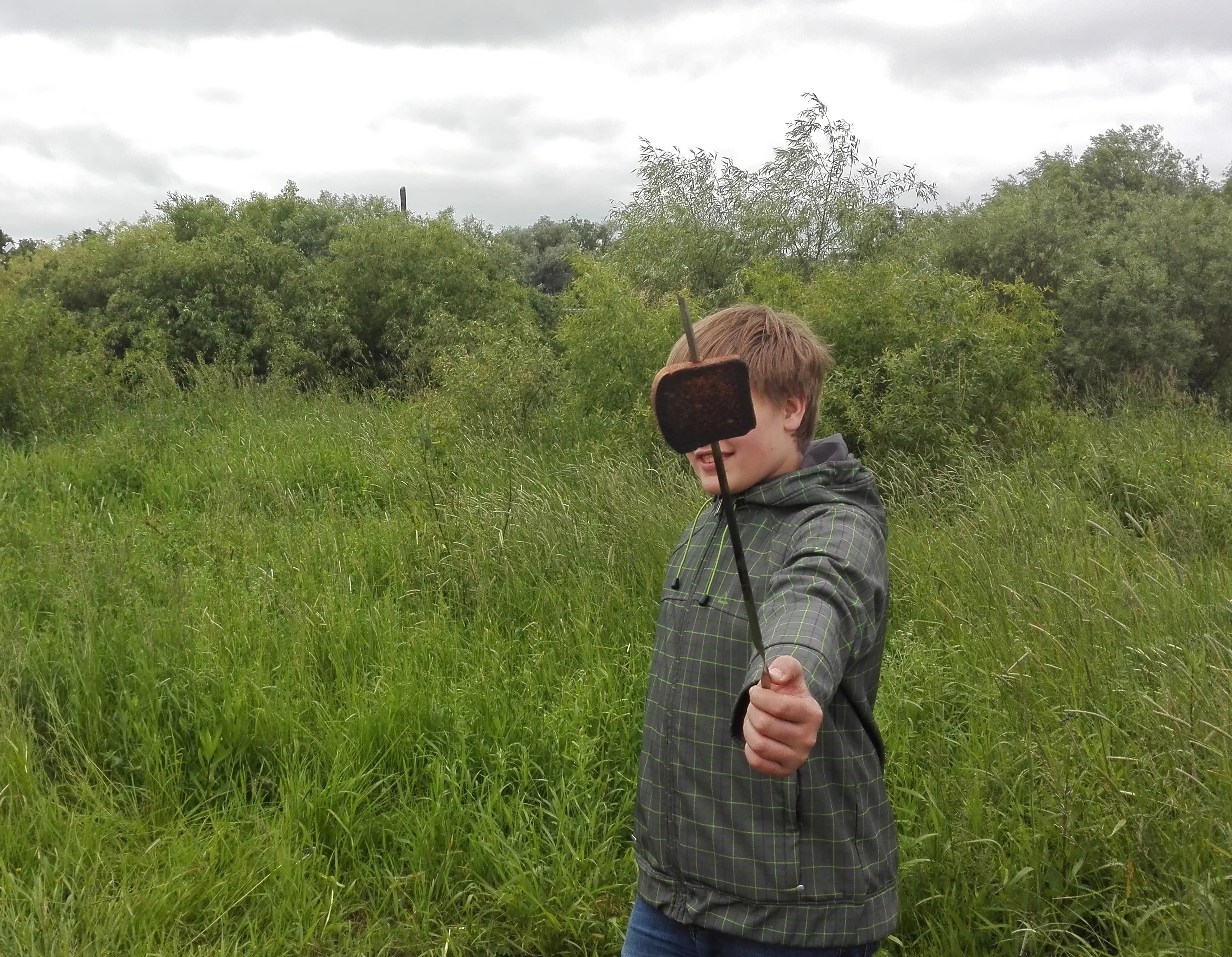 природа 2.webp